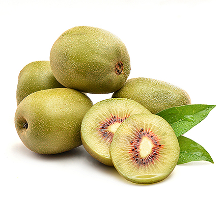 九游体育app下载产品中心八